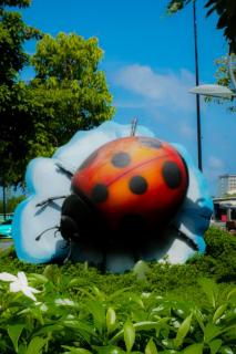 Great Homestay & Travel - Phu Quoc - 6