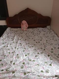 Rose house - - 5
