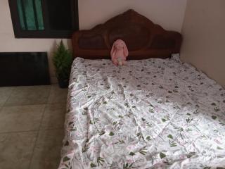 Rose house - - 3