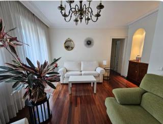 Bright apartment in Parque Etxebarria with parking - Bilbao - 0