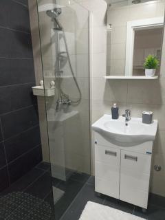 Apartman Milena - Veliko Gradiste - 5
