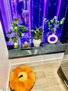 Lunas Homestay - Hai Phong - 6