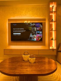 Luxurious 2BR Apartment and parking - 3
