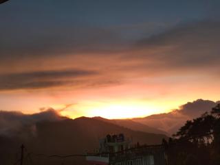 Cloudy larch homestay - Darjeeling - 5