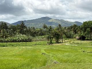 Village Verandah by Oshi - Dambulla - 1