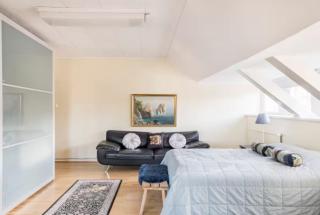 Suurempi ryhmä kuuluisassa Helsinki Villassa - Helsinki - 1