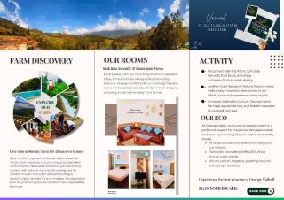 Orange Valley Farm Resort - Munnar - 8