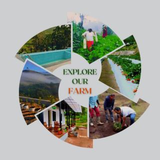Orange Valley Farm Resort - Munnar - 7
