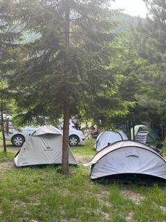 Heldi Eco Camping - Valbonë - 8