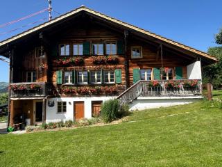Alpenchalet Haldeli Ferienwohnung - Gstaad - 0