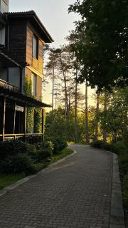 Summer Mood, Forest Feeling in Sozopol - 4