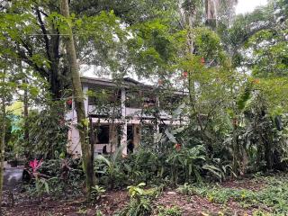 Casa Jaguar Tortuguero - Tortuguero - 5