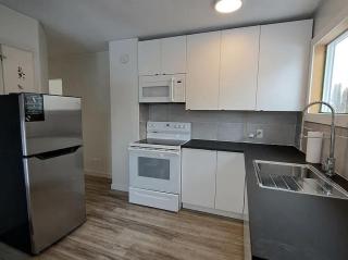 Spectacular Spruce Avenue - Edmonton - 4