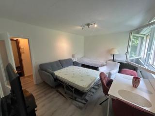 cosy studio - Montreux - 3