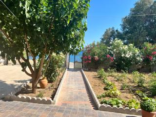 Waters Edge - Samos (Samo) - 1