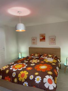 Nouveau! Appartement climatisé à 100m du marché- Tendance 70's - Surgères - 5