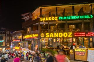 Sandoz Palm Retreat - Mall Road, Mussoorie - Mussoorie - 7