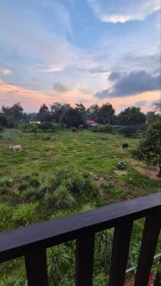 Villa Aisya - Kampung Padang Masirat - 8