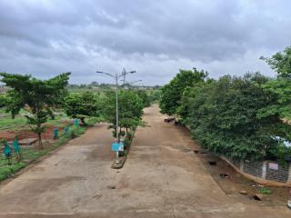 Shivay Pili Kothi - - 4