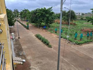 Shivay Pili Kothi - - 2