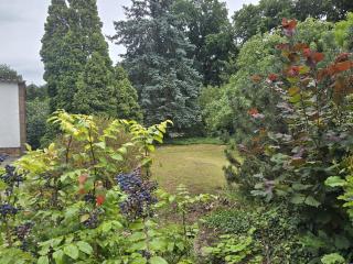 NEU! FeWo AllerGrün, Terasse, Garten, Stellplatz! - Borstel - 4