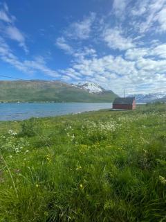 Koselig hus nær sjø og fjell - Nord-Lenangen - 9