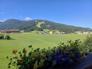 Landhaus Fingerhof - Flachau - 7