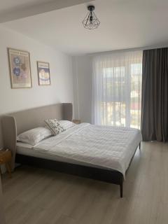 Home Away Bistrița - Văleni - 0