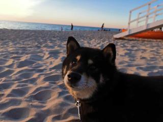 Dom Wakacyjny Koralowa 16, Osieki Zachodniopomorskie - 6