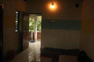 Roots and rambutan gokarna - 2