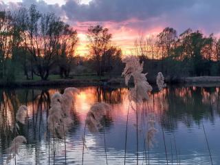 ARK Village Liberland - Apatin - 8