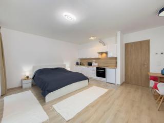 Danube river flat with balcony,free garage - 2