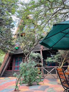 A frame 4 bedroom house ngong hills - Ngong - 2