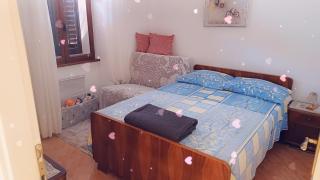 The Green house - 20m from the beach - Novigrad Istria - 2