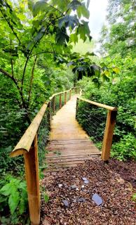 Treehouse In Devon - riverside woodland hideaway - 0