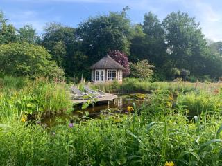 B&B de Wisperhof - Wezup - 1