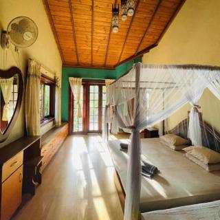 New Dandelion guest house - Kandy - 8