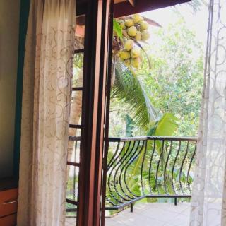 New Dandelion guest house - Kandy - 5