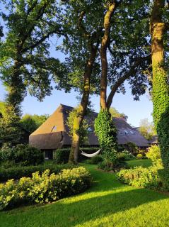 B&B de Wisperhof - Wezup - 7