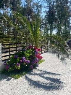 NinosVilla (Shekvetili\Kaprovani) 70м до моря - Shekhvetili - 6
