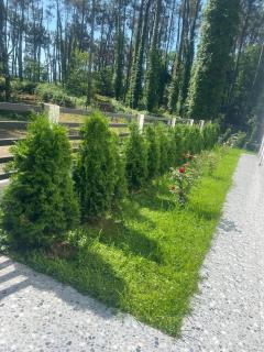 NinosVilla (Shekvetili\Kaprovani) 70м до моря - Shekhvetili - 2