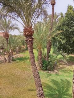 AbirKech appartement - Marrakech - 4