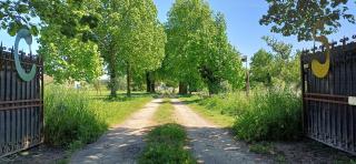 Polo estate with a river as a pool near Saint-Emilion - 9