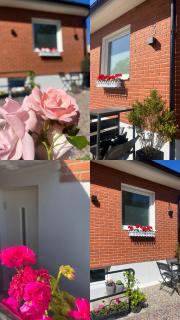 Vellinge Nest - Vellinge - 0