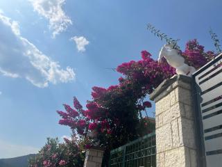 Himara Horizon - Himarë - 4