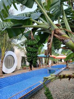 paparazzi homestay - 4