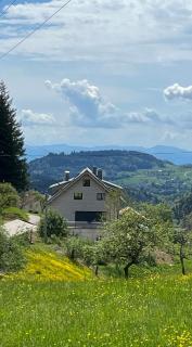 Ferienwohnung Alpenblick - Kleines Wiesental - 0