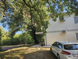 Forest House Čanj - Čanj - 8