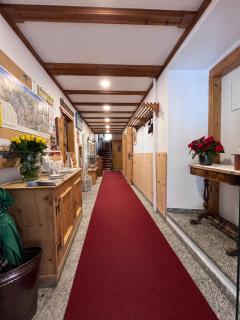 Hotel Alpina - Zernez - 5