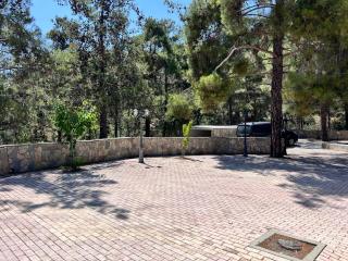 VILLa PENELOPE - Plátres - 5